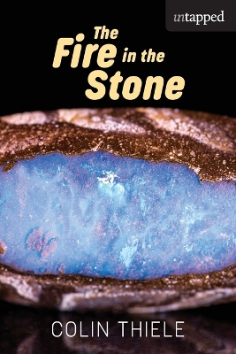 The Fire in the Stone book