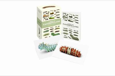 A Box of Caterpillars: 100 Beautiful Postcards book