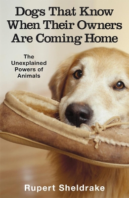 Dogs That Know When Their Owners Are Coming Home by Rupert Sheldrake