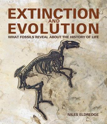 Extinction and Evolution: What Fossils Reveal about the History of Life by Niles Eldredge