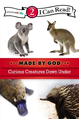 Curious Creatures Down Under book