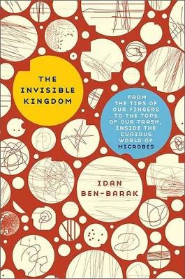 The Invisible Kingdom book