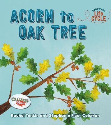 Acorn to Oak Tree by Rachel Tonkin
