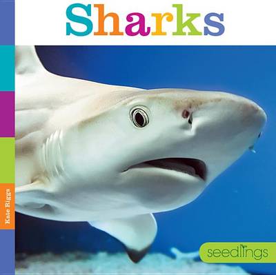 Sharks book