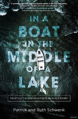 In a Boat in the Middle of a Lake: Trusting the God Who Meets Us in Our Storm book