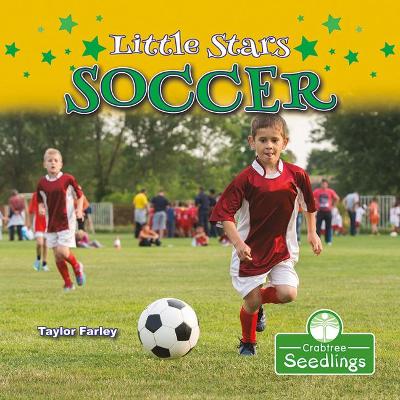 Little Stars Soccer by Taylor Farley