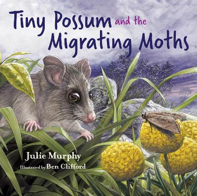 Tiny Possum and the Migrating Moths by Ben Clifford