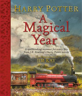 Harry Potter – A Magical Year: The Illustrations of Jim Kay book