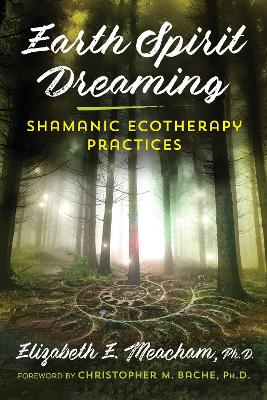 Earth Spirit Dreaming: Shamanic Ecotherapy Practices book