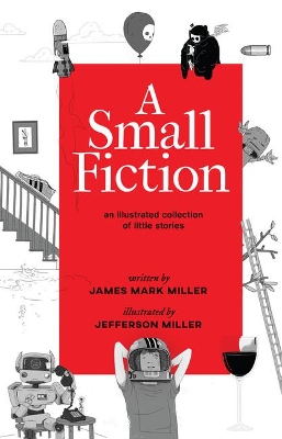 A Small Fiction book