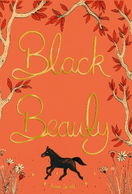 Black Beauty book