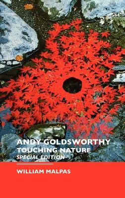 Andy Goldsworthy by William Malpas