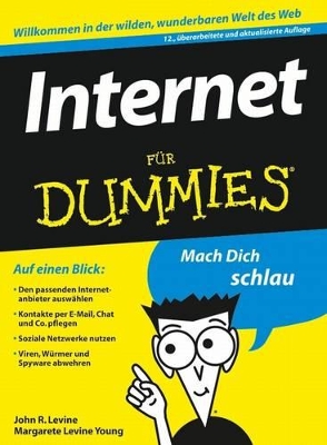Internet für Dummies book
