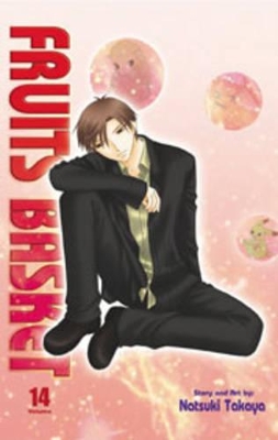 Fruits Basket: v. 14 book