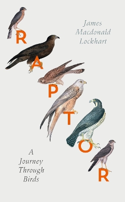 Raptor by James Macdonald Lockhart