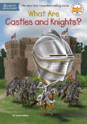 What Are Castles and Knights? book
