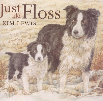 Just Like Floss book