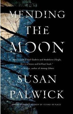 Mending the Moon book