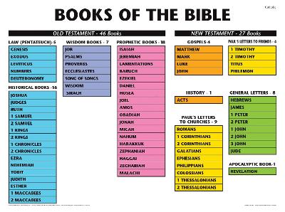 Books of the Bible (Poster - Laminated) book