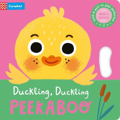 Duckling, Duckling, PEEKABOO by Campbell Books