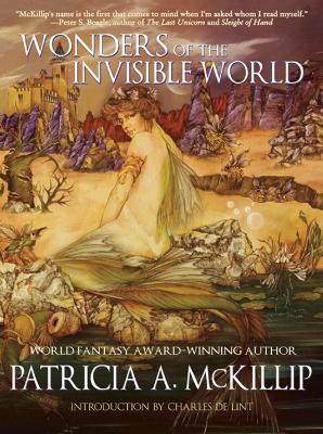 Wonders of the Invisible World book