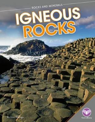 Igneous Rocks book