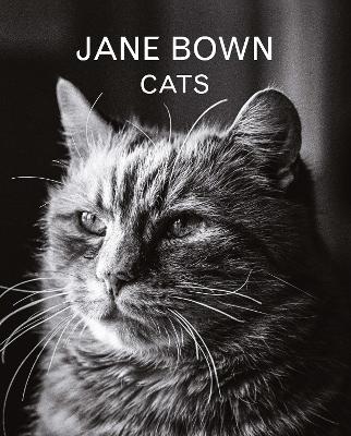 Jane Bown: Cats book