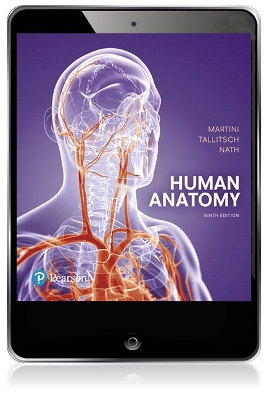 Human Anatomy by Frederic Martini