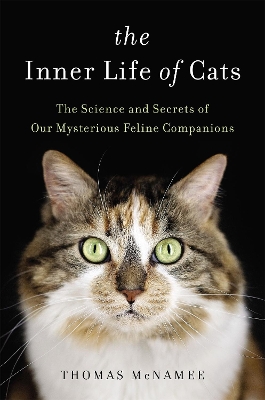 Inner Life of Cats by Thomas McNamee