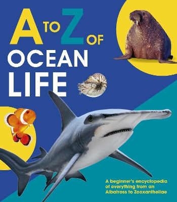 A to Z of Ocean Life by Words & Pictures