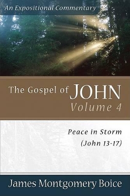 The Gospel of John – Peace in Storm (John 13–17) book