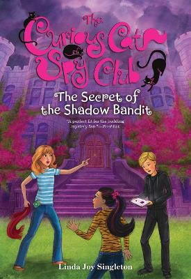 Secret of the Shadow Bandit book