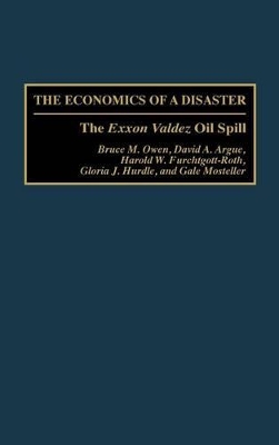 Economics of a Disaster book