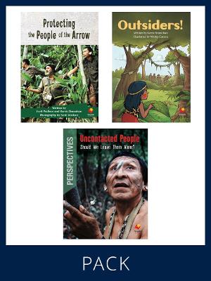 Flying Start Paired & Perspective Pack Level S, Pack 3 book