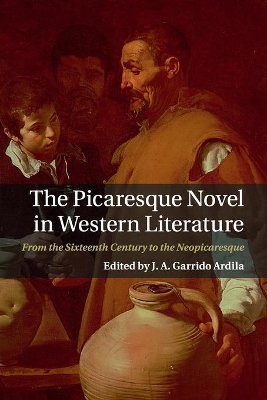 Picaresque Novel in Western Literature book