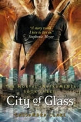 Mortal Instruments Bk 3: City Of Glass book