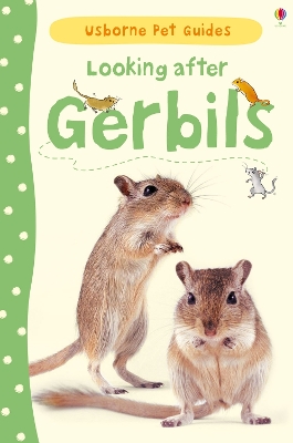 Looking after Gerbils book