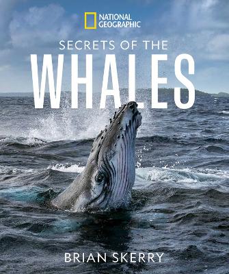 Secrets of the Whales book