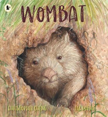 Wombat by Christopher Cheng