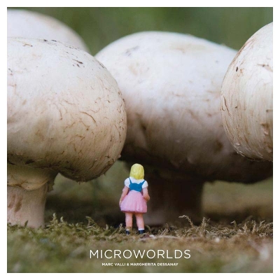 Microworlds book
