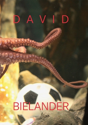 David Bielander book