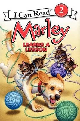 Marley Learns a Lesson book