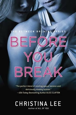 Before You Break book