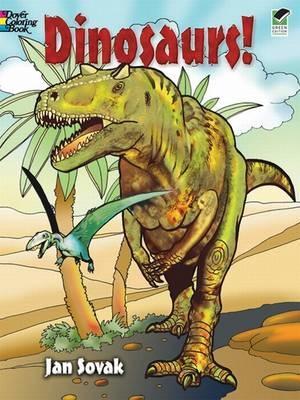 Dinosaurs Coloring Book book