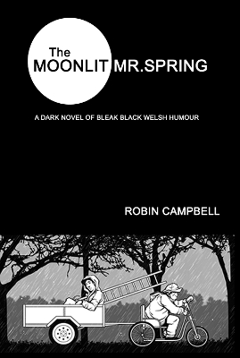 The Moonlit Mr Spring book