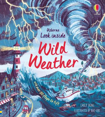 Look Inside Wild Weather book