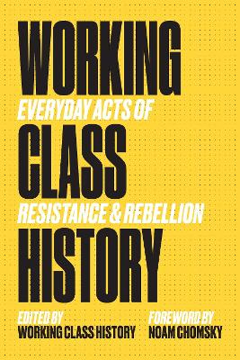 Working Class History book