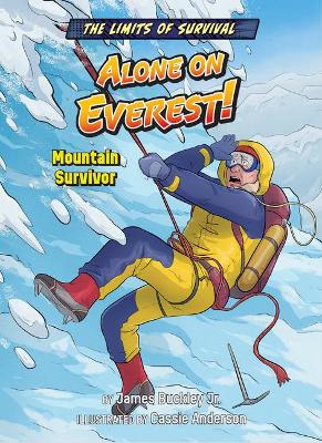 Alone on Everest!: Mountain Survivor book