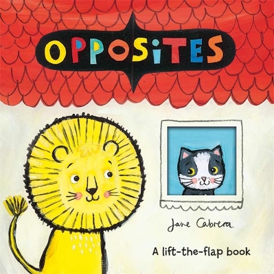 Jane Cabrera: Opposites book