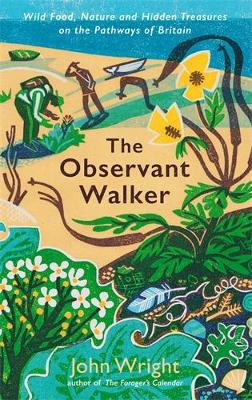 The Observant Walker: Wild Food, Nature and Hidden Treasures on the Pathways of Britain book